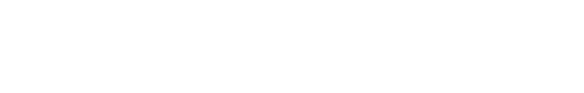 SaaShop Logo